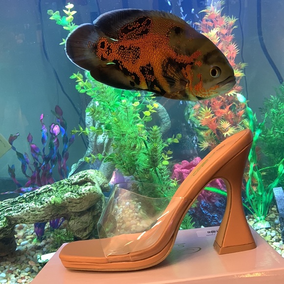 Clear Nude Heels - Picture 9 of 17